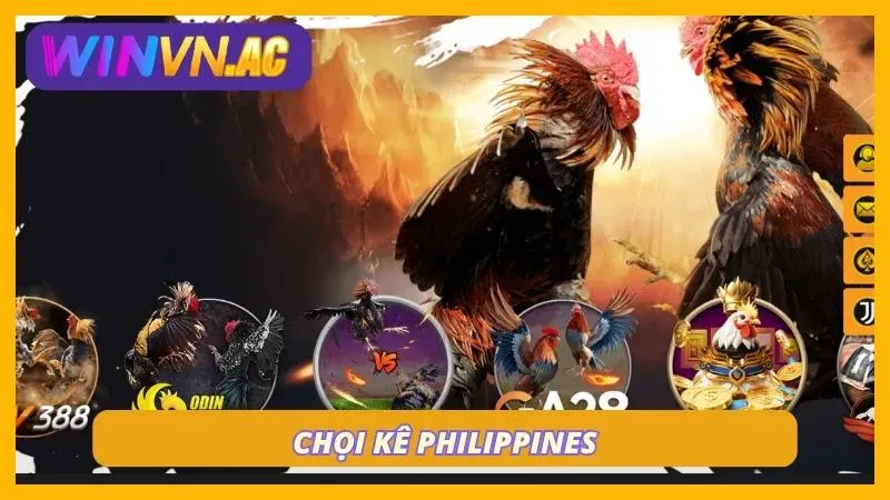 Chọi gà Philippines vạn người mê